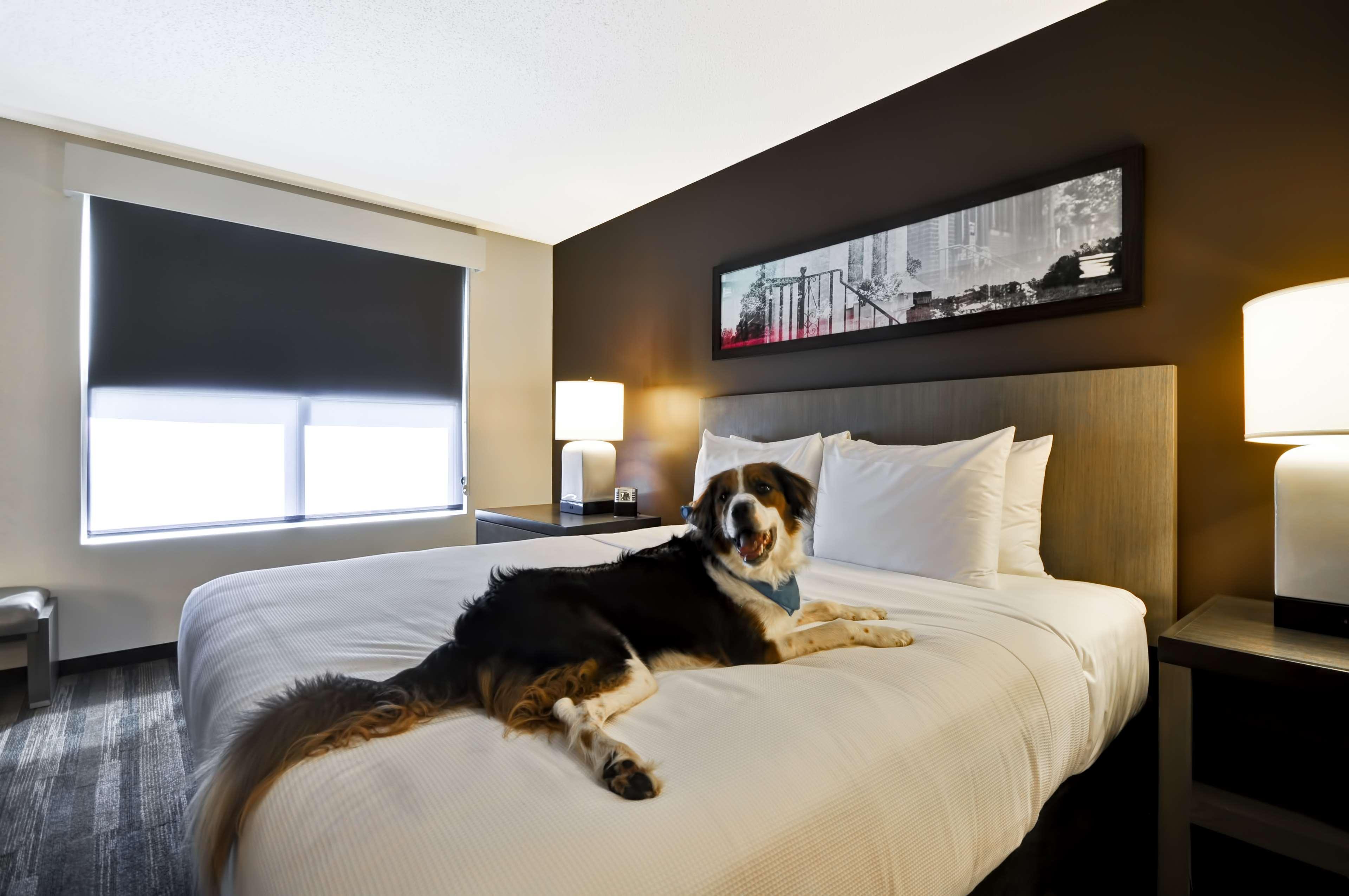ไฮแอท เฮาส์ คอบบ์ แกเลอเรีย Hotel สเมอร์นา ภายนอก รูปภาพ
