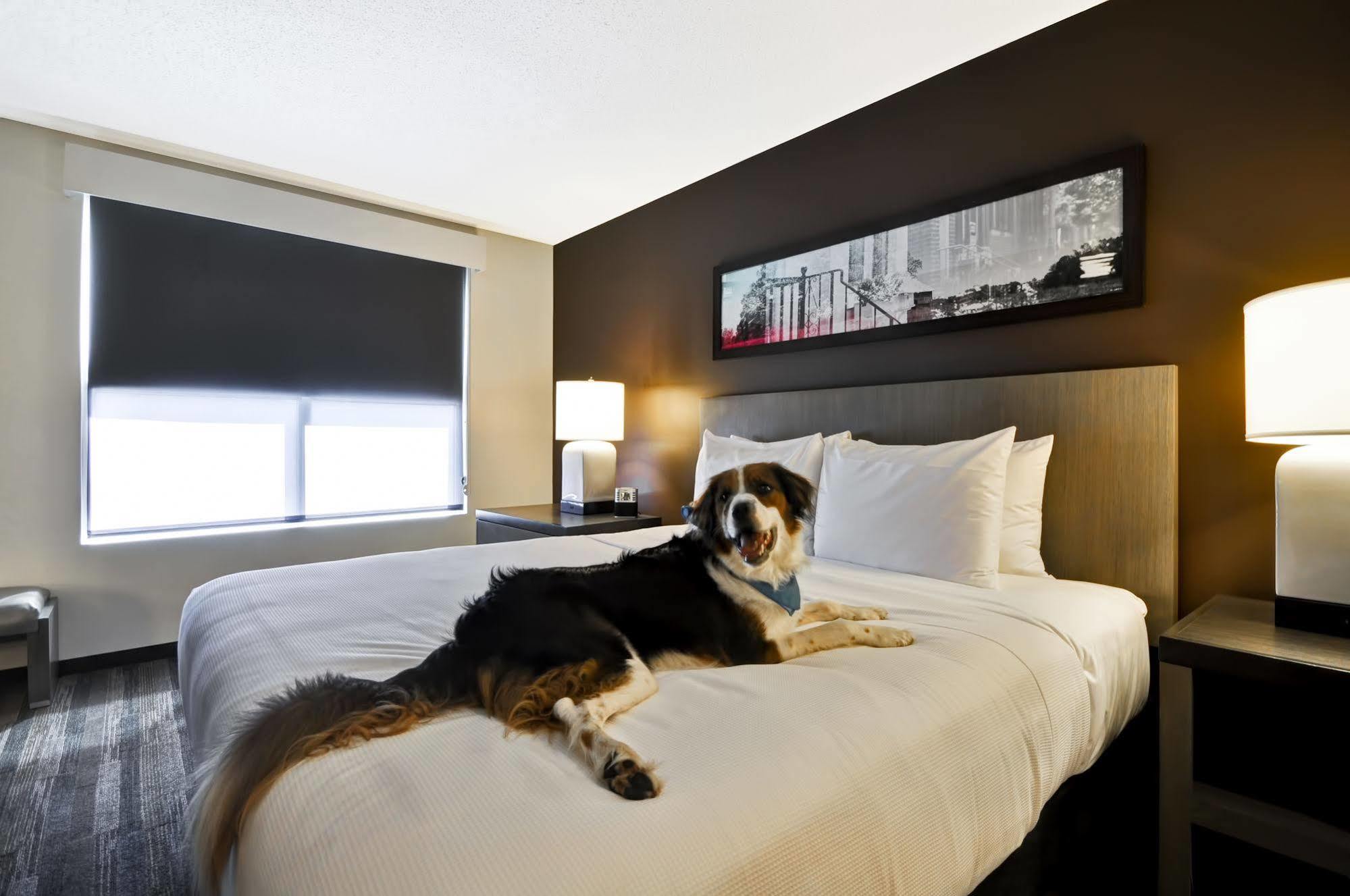 ไฮแอท เฮาส์ คอบบ์ แกเลอเรีย Hotel สเมอร์นา ภายนอก รูปภาพ